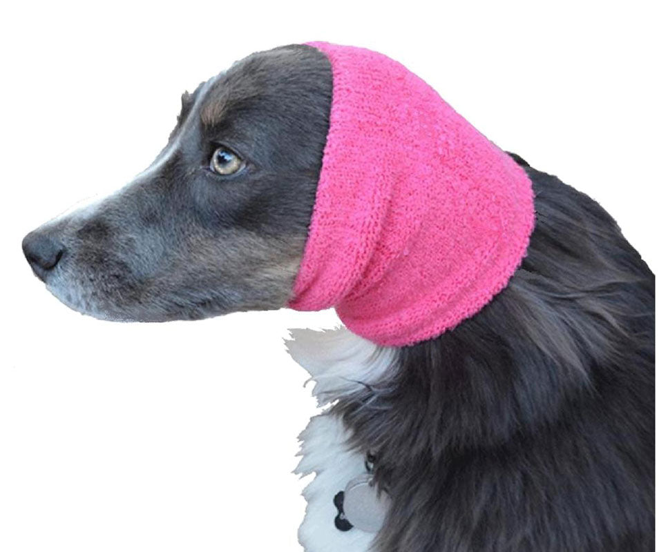 Dog with happy hoodie on its head, showing how to wear the product