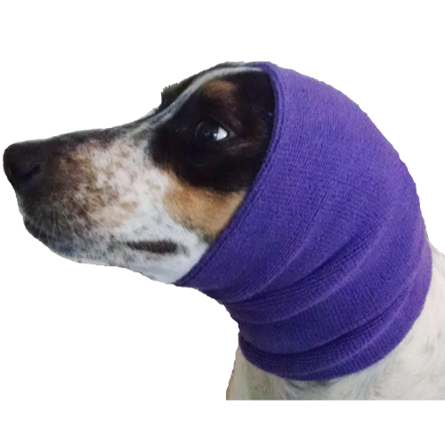 Small dog with happy hoodie on his head. 