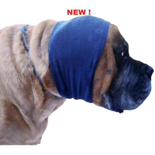 Dog with happy hoodie on its head, showing how to wear the product